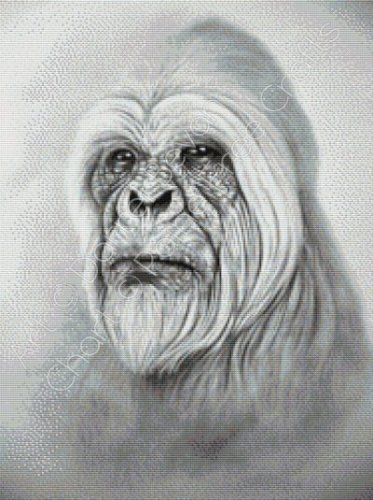 (image for) Yeti